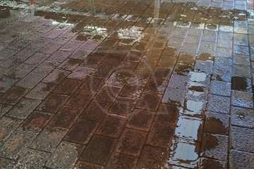 Goteras en el Mercado Municipal/TA.